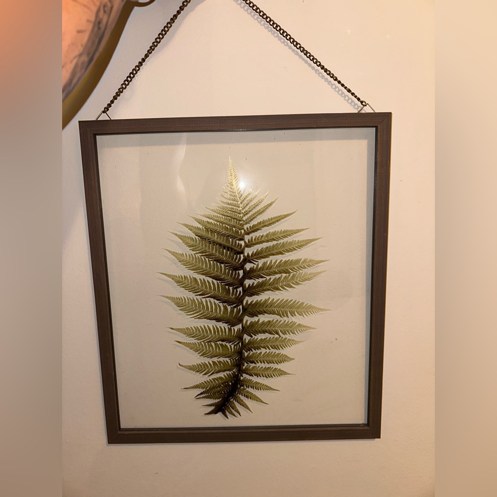 Real Fern Wall Art